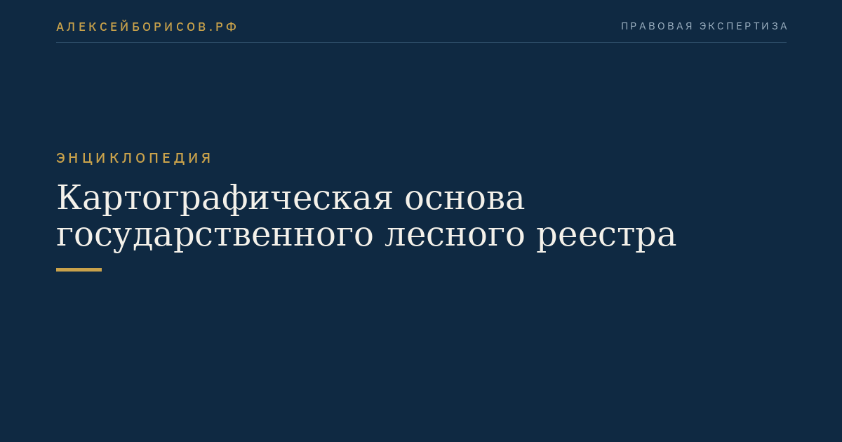 Картографическая основа государственного лесного реестра