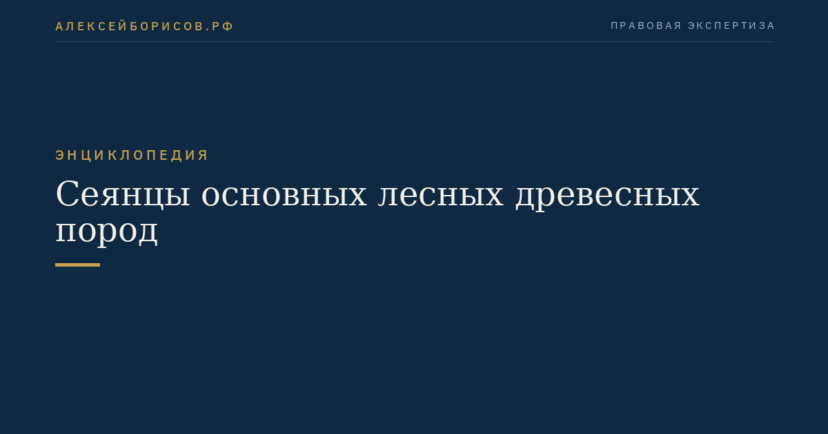 Сеянцы основных лесных древесных пород