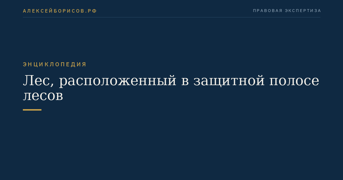 Лес, расположенный в защитной полосе лесов