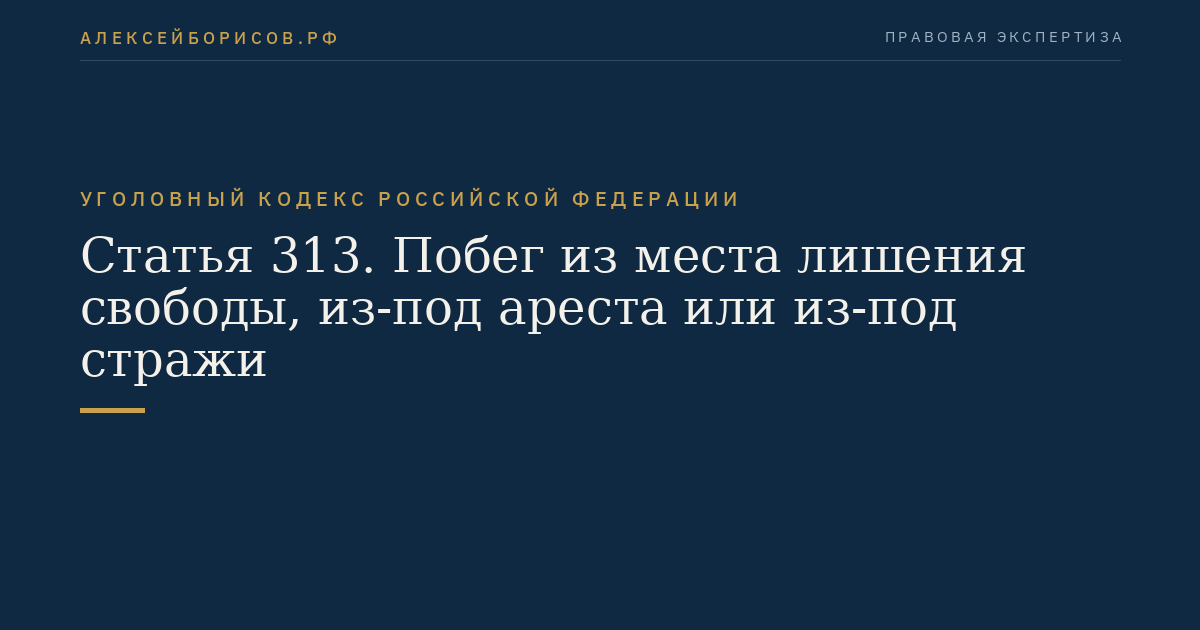 Статья 313. Побег из места лишения свободы, из-под ареста или из-под стражи