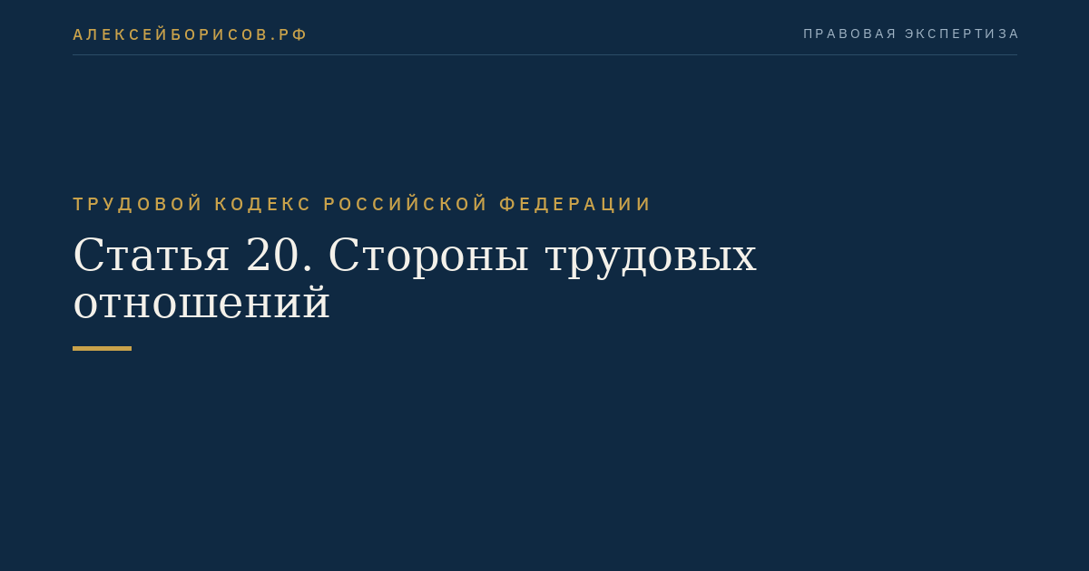 Статья 20. Стороны трудовых отношений