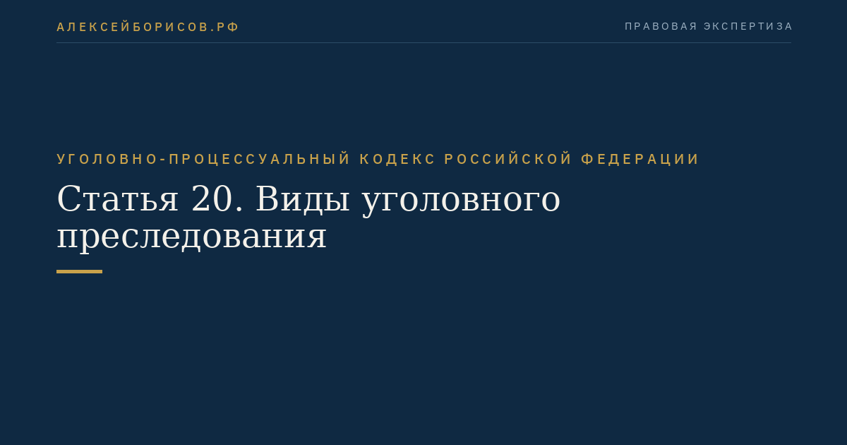 Статья 20. Виды уголовного преследования