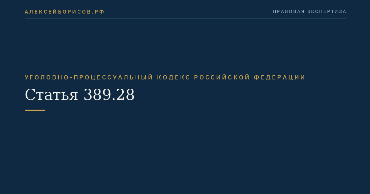 Статья 389.28