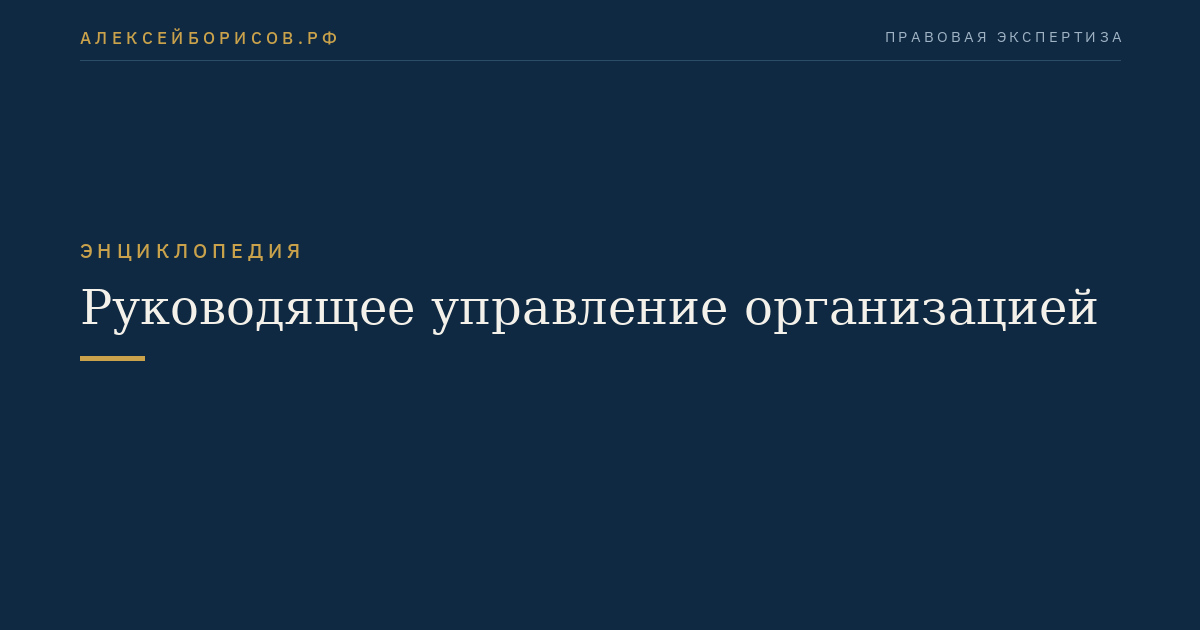 Руководящее управление организацией