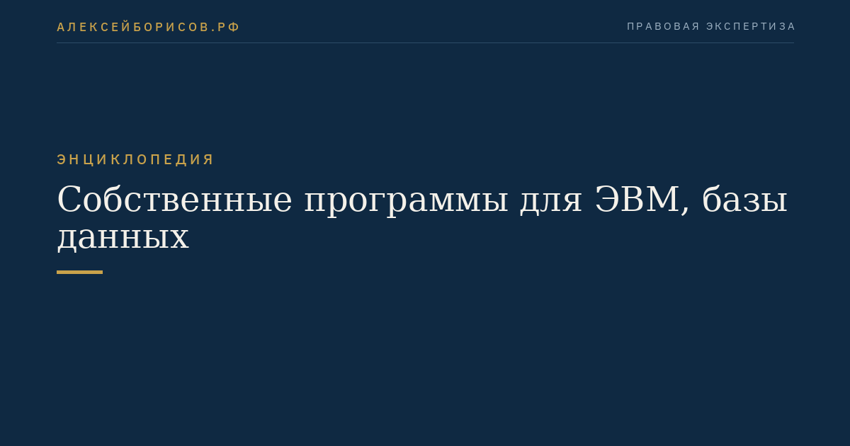 Собственные программы для ЭВМ, базы данных