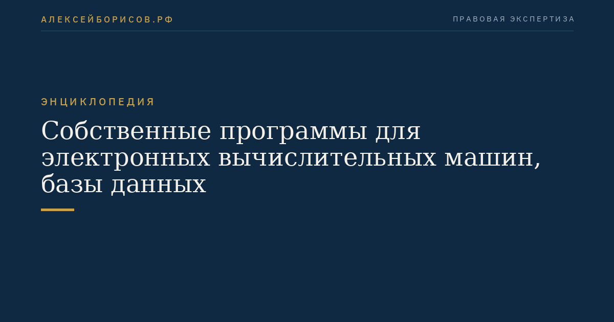 Собственные программы для электронных вычислительных машин, базы данных
