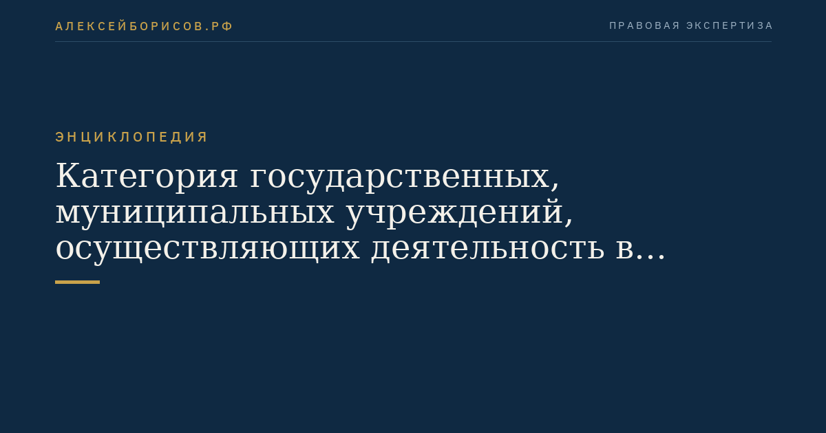 Категория государственных, муниципальных учреждений, осуществляющих деятельность в области культуры, и некоммерческих организаций (фондов)