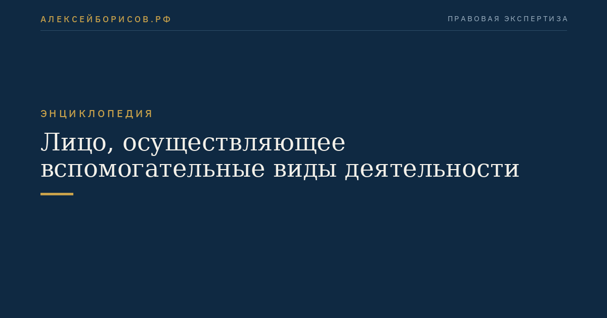 Лицо, осуществляющее вспомогательные виды деятельности
