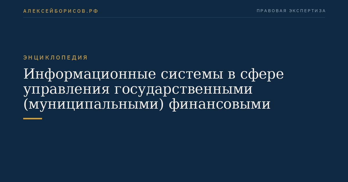 Информационные системы в сфере управления государственными (муниципальными) финансовыми