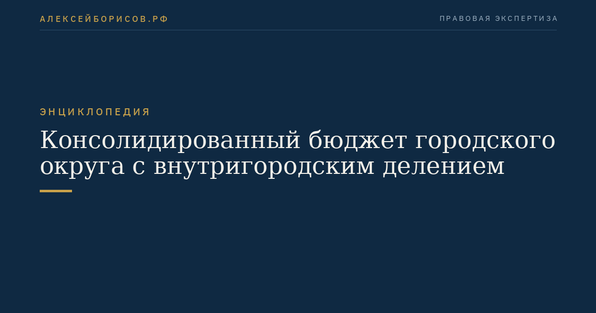 Консолидированный бюджет городского округа с внутригородским делением