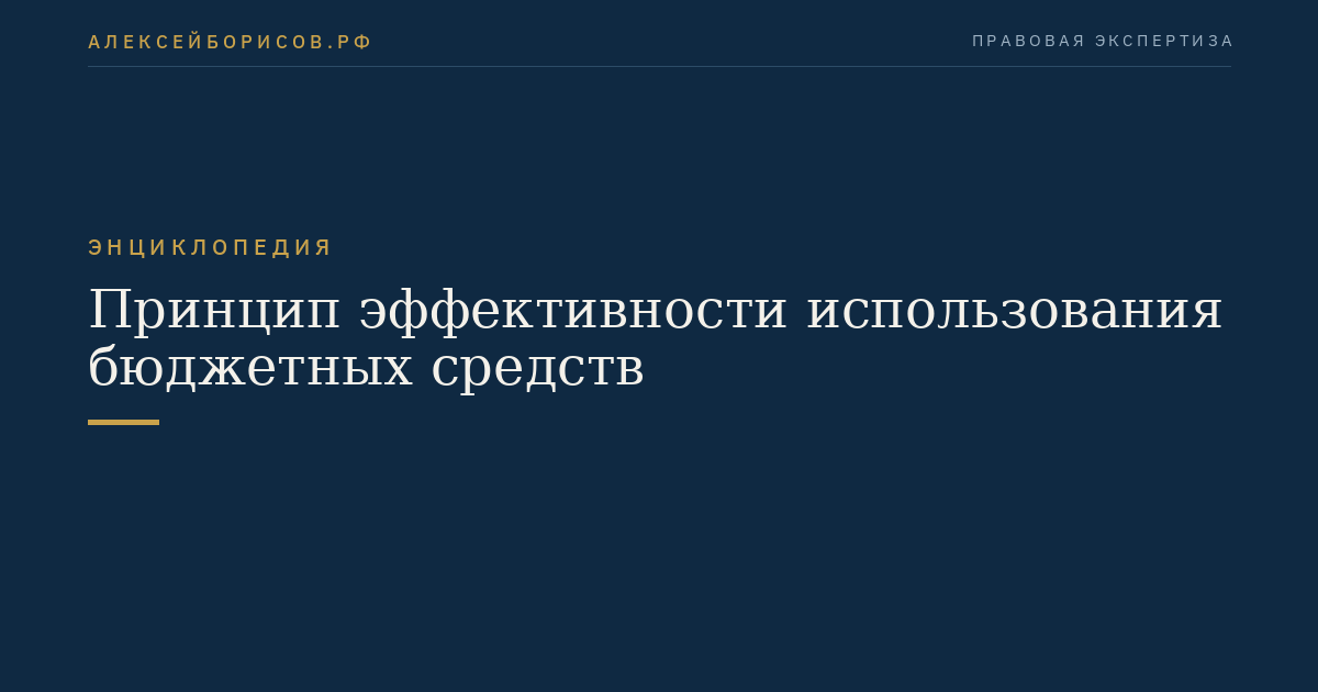 Принцип эффективности использования бюджетных средств