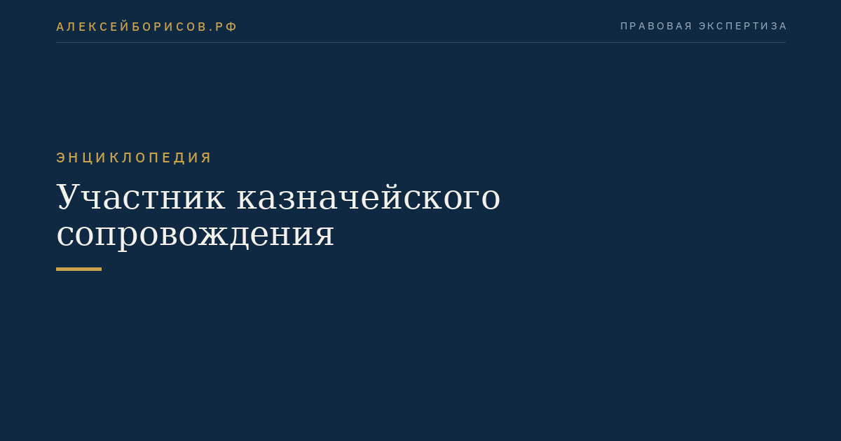 Участник казначейского сопровождения