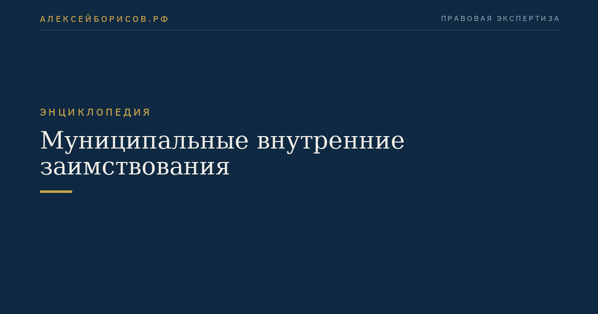 Муниципальные внутренние заимствования