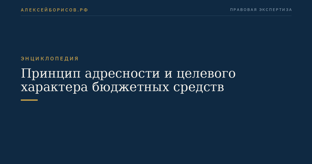 Принцип адресности и целевого характера бюджетных средств