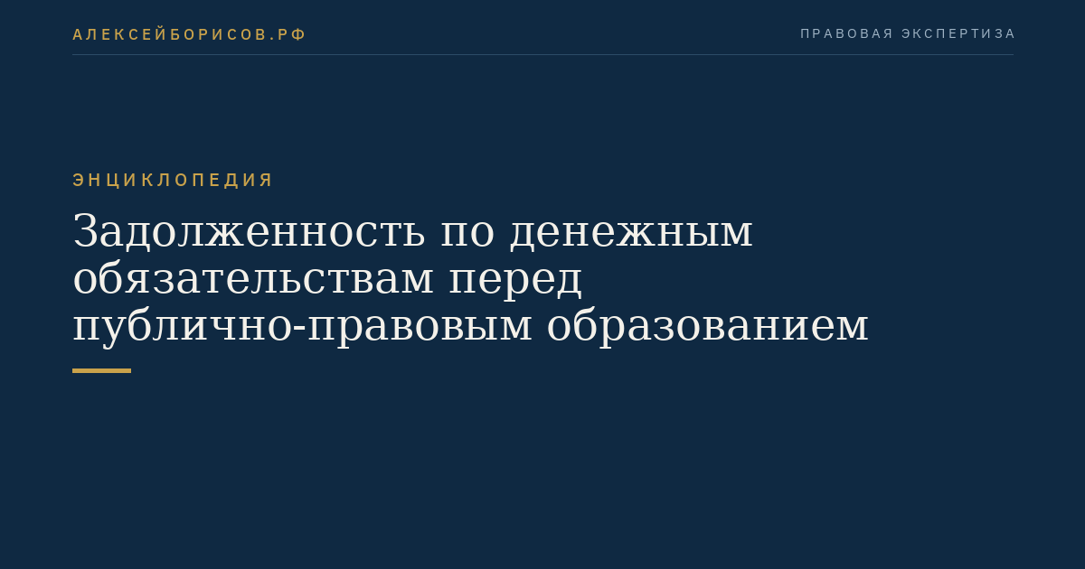 Задолженность по денежным обязательствам перед публично-правовым образованием