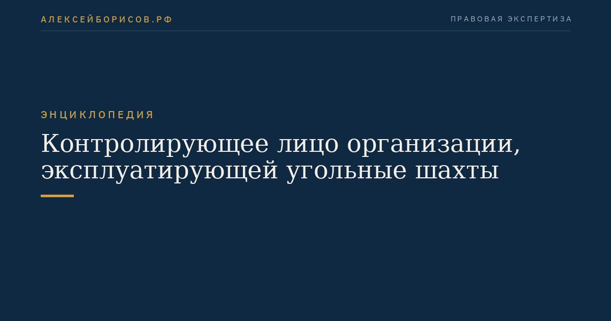 Контролирующее лицо организации, эксплуатирующей угольные шахты