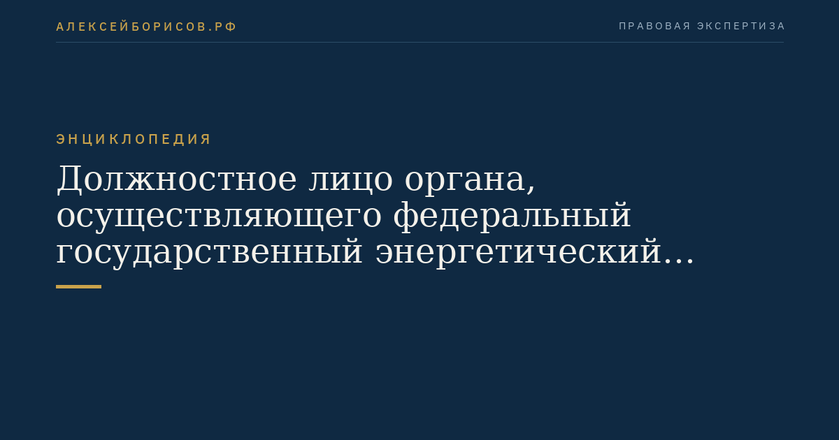 Должностное лицо органа, осуществляющего федеральный государственный энергетический надзор