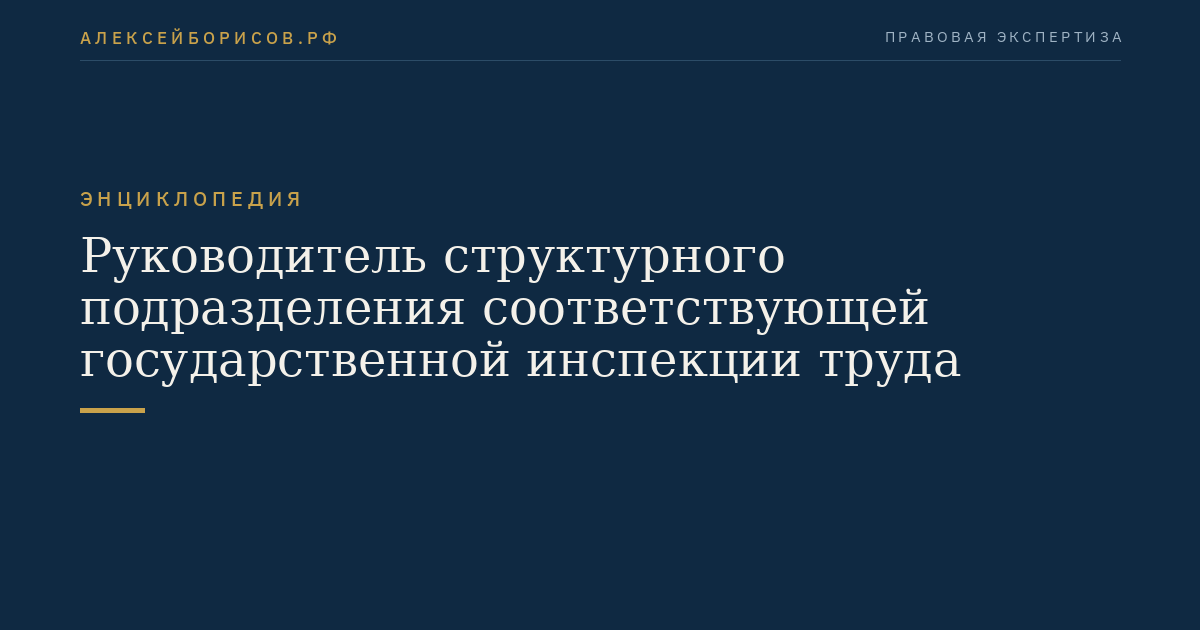 Руководитель структурного подразделения соответствующей государственной инспекции труда