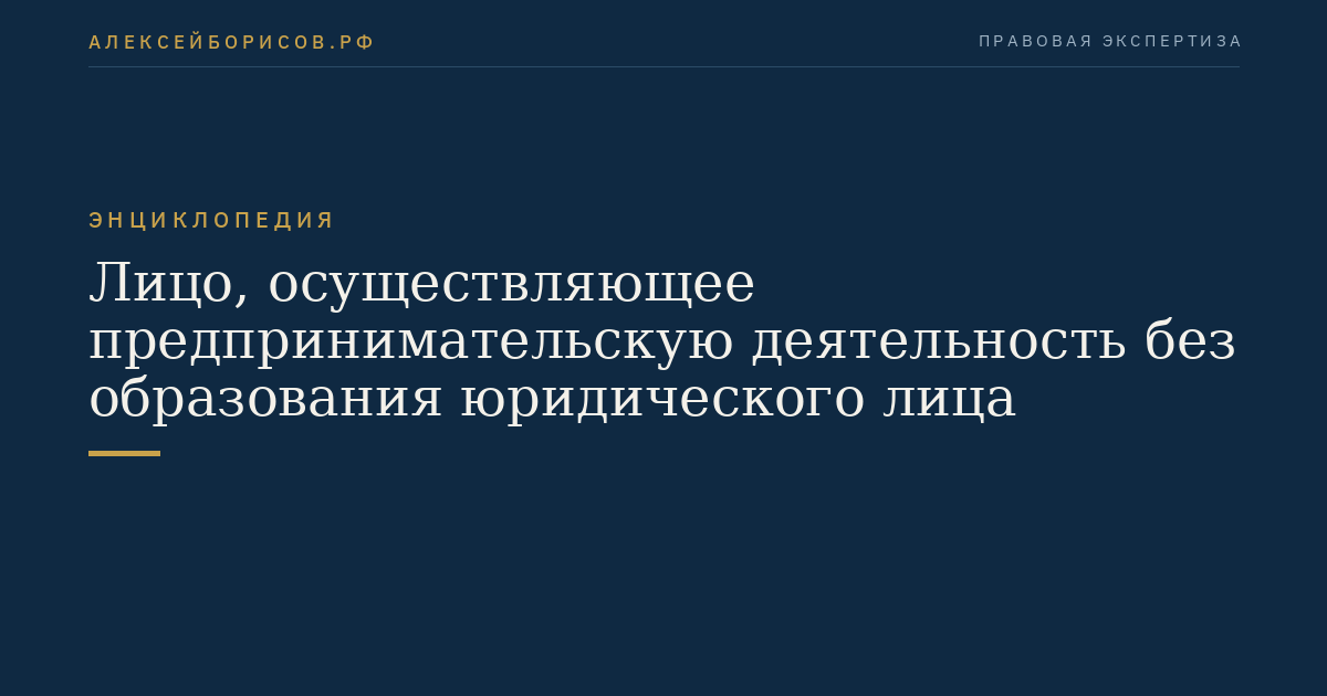 Лицо, осуществляющее предпринимательскую деятельность без образования юридического лица