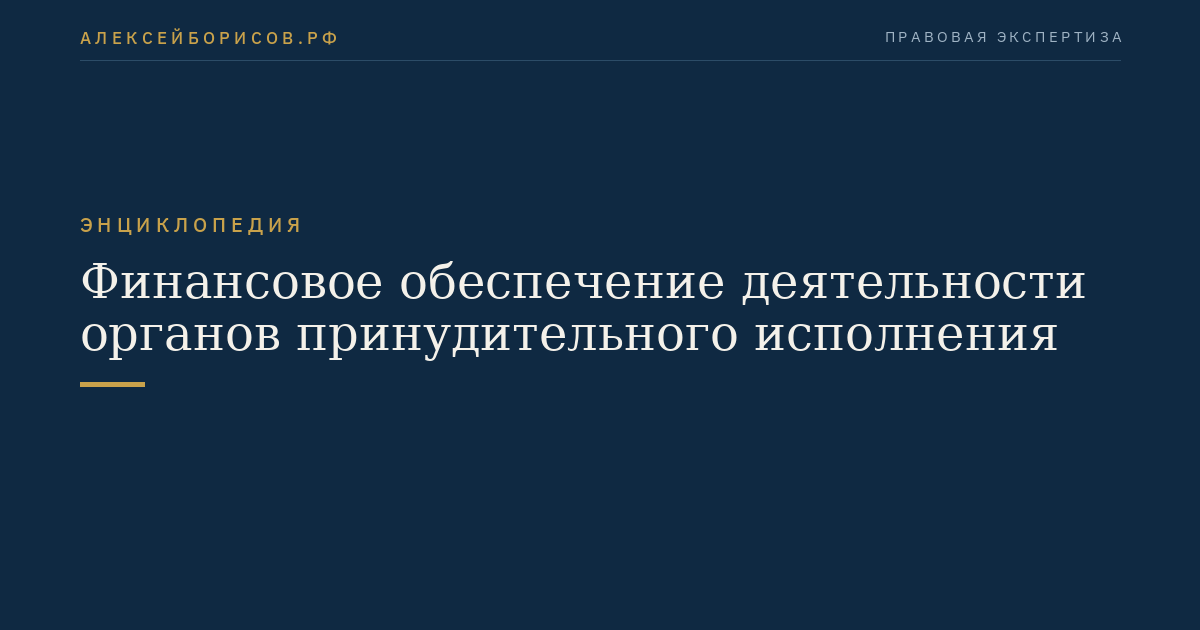 Financial Support for the Activities of Enforcement Bodies