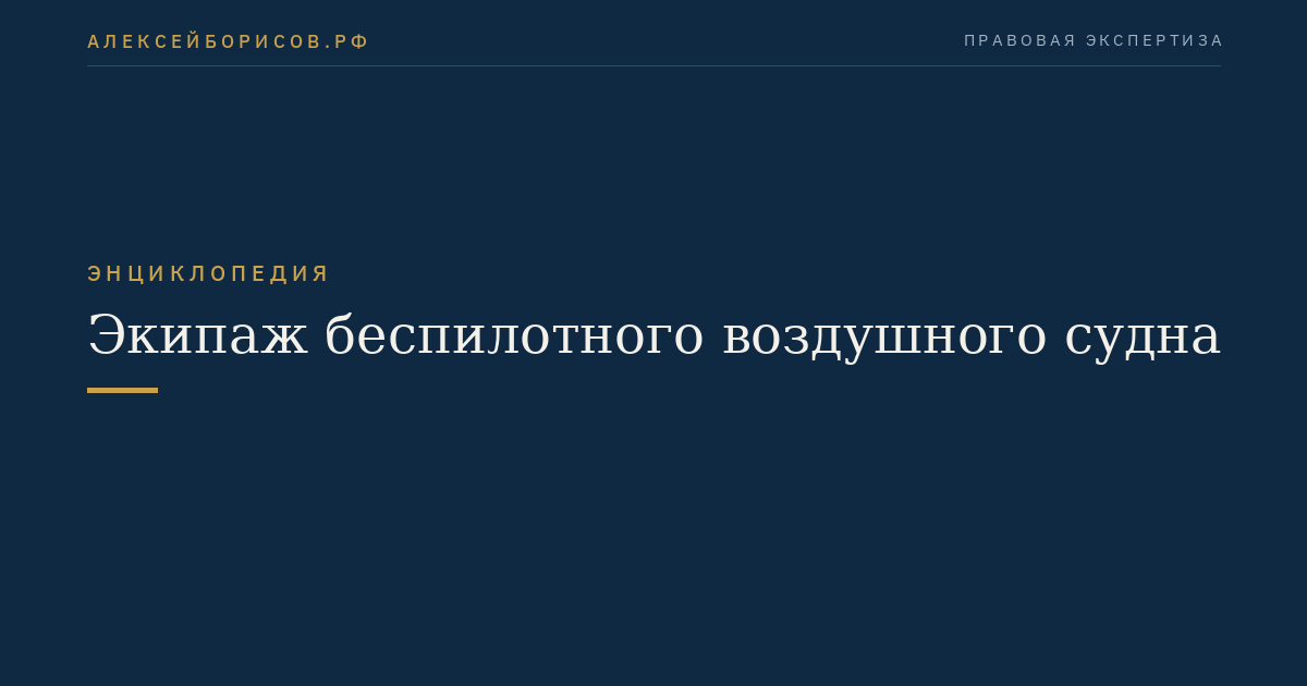 Экипаж беспилотного воздушного судна