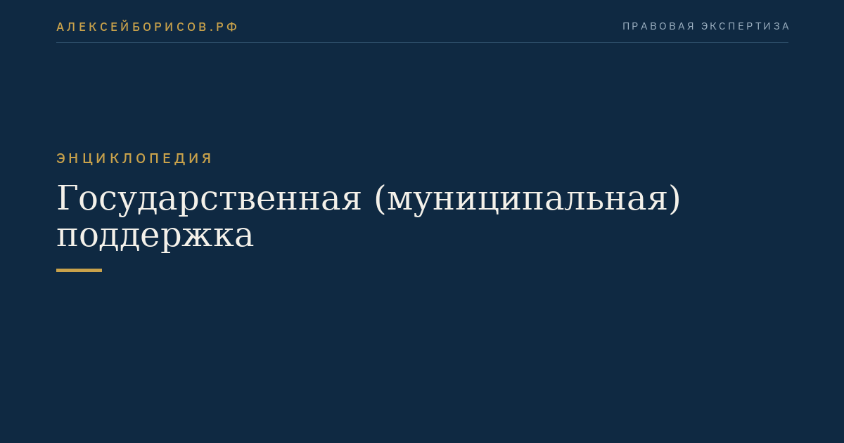 Государственная (муниципальная) поддержка