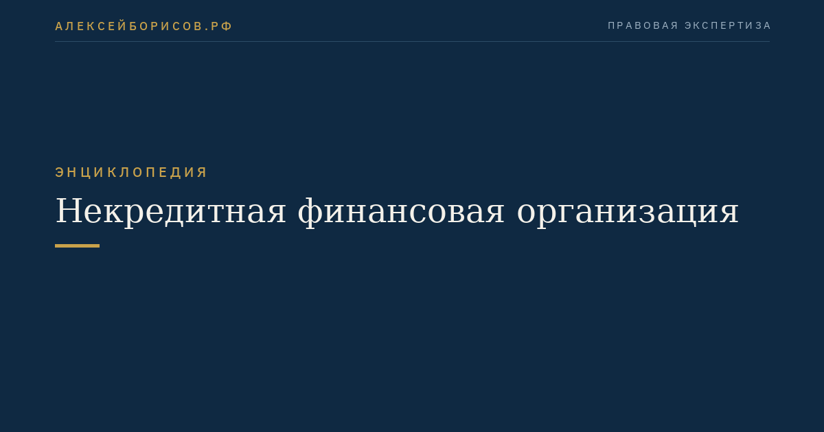 Некредитная финансовая организация