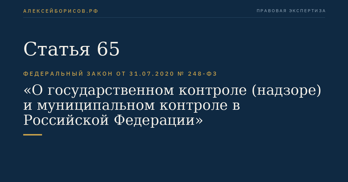 Статья 65