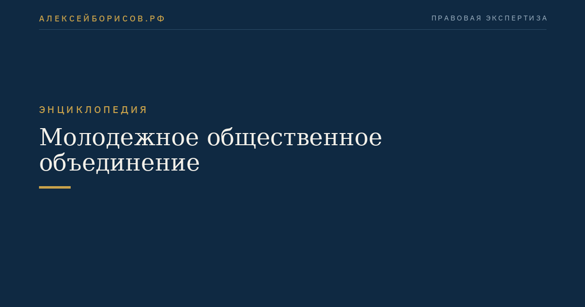 Молодежное общественное объединение