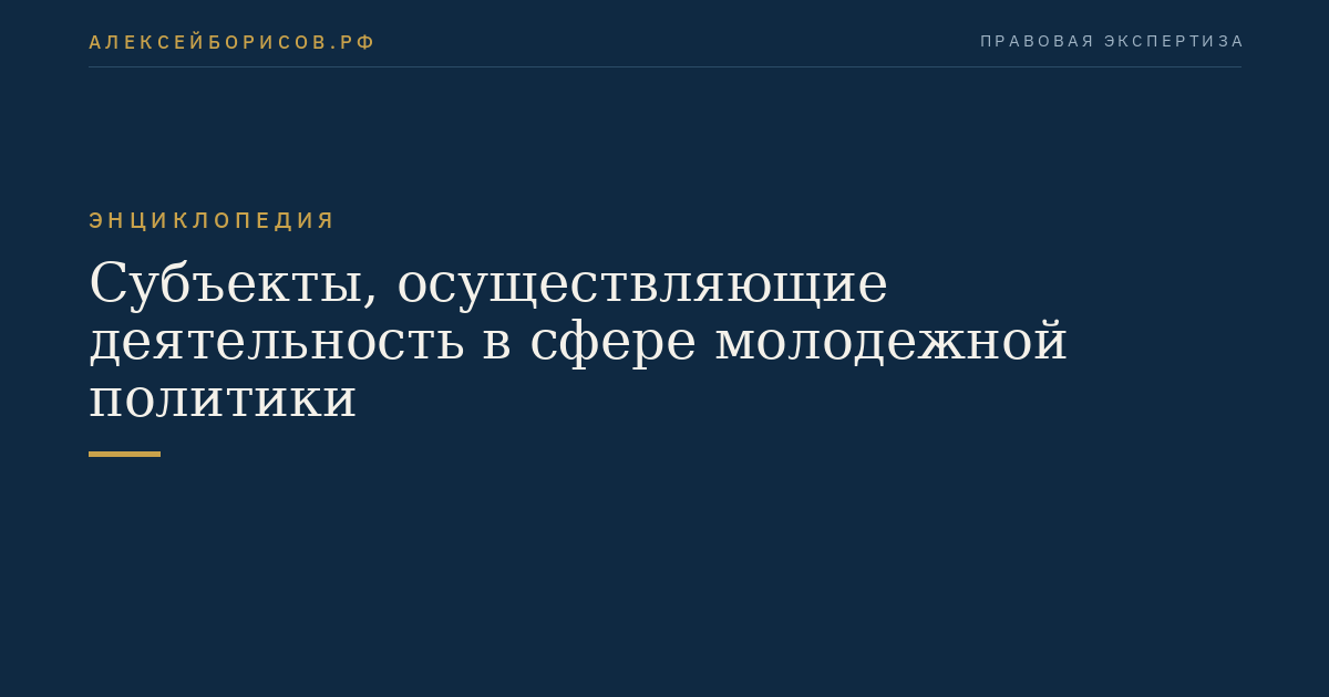 Субъекты, осуществляющие деятельность в сфере молодежной политики
