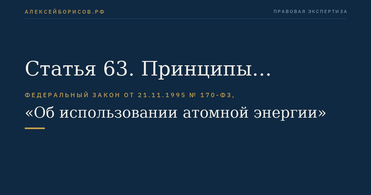 Статья 63. Принципы осуществления экспорта и импорта ядерных установок, оборудования, технологий, ядерных материалов, радиоактивных веществ, специальных неядерных материалов и услуг в области использования атомной энергии
