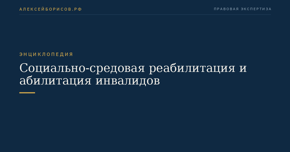 Социально-средовая реабилитация и абилитация инвалидов