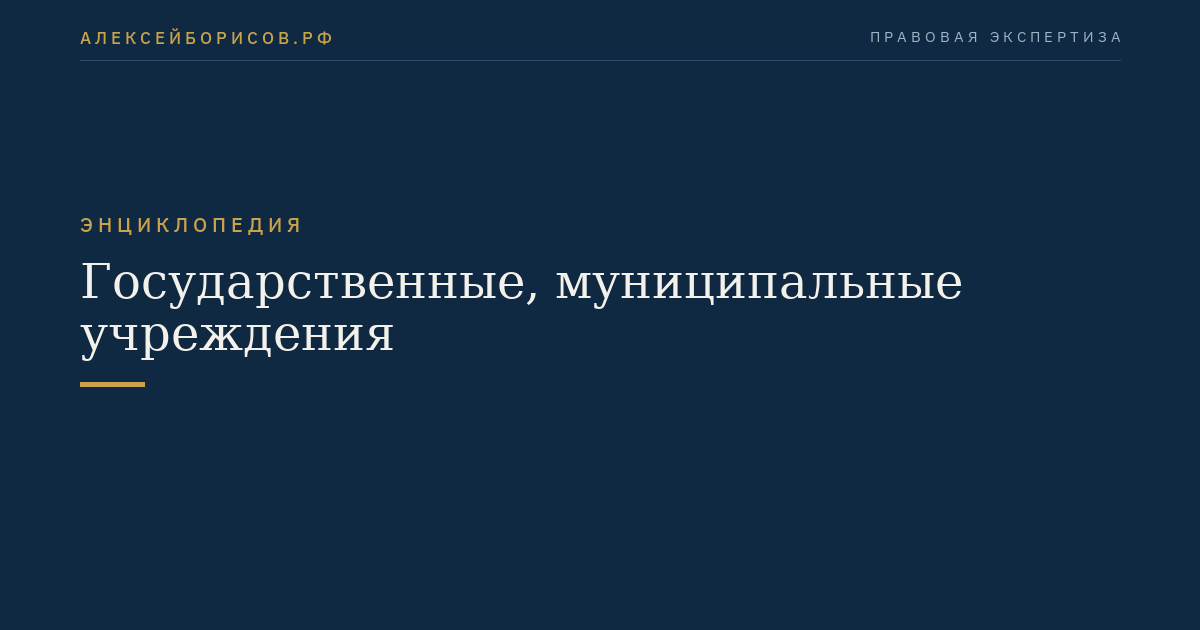 Государственные, муниципальные учреждения
