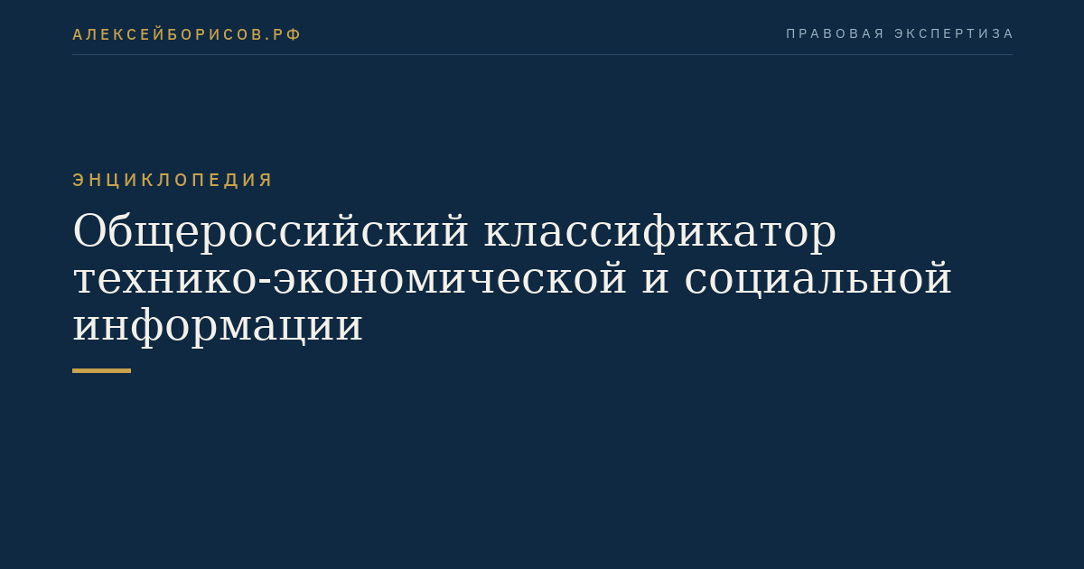 Allrussischer Klassifikator technisch-wirtschaftlicher und sozialer Informationen