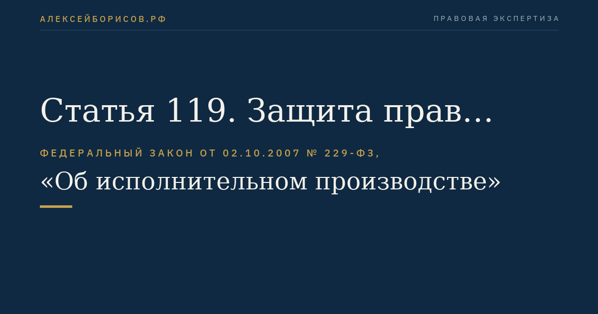 Статья 119. Защита прав других лиц при совершении исполнительных действий