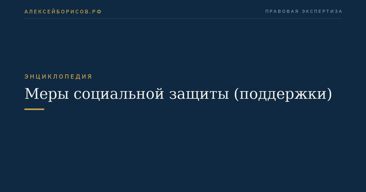 Меры социальной защиты (поддержки)