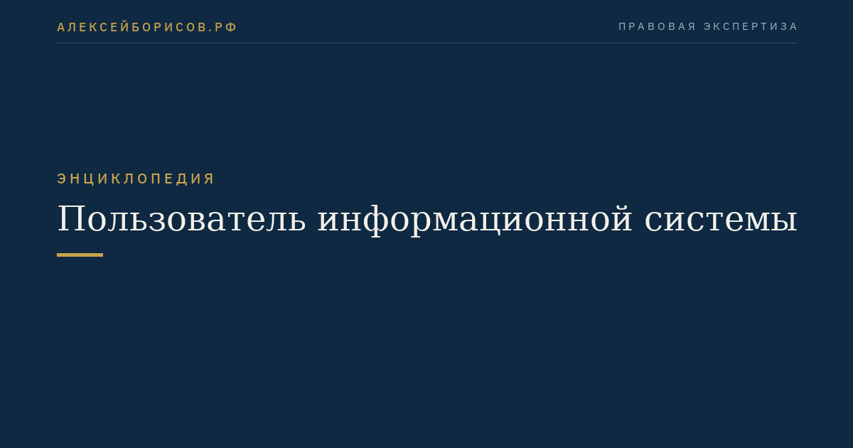 Пользователь информационной системы