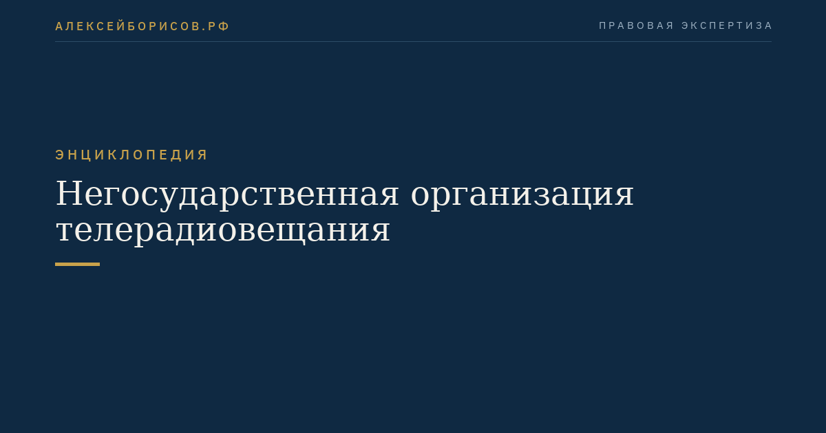 Негосударственная организация телерадиовещания