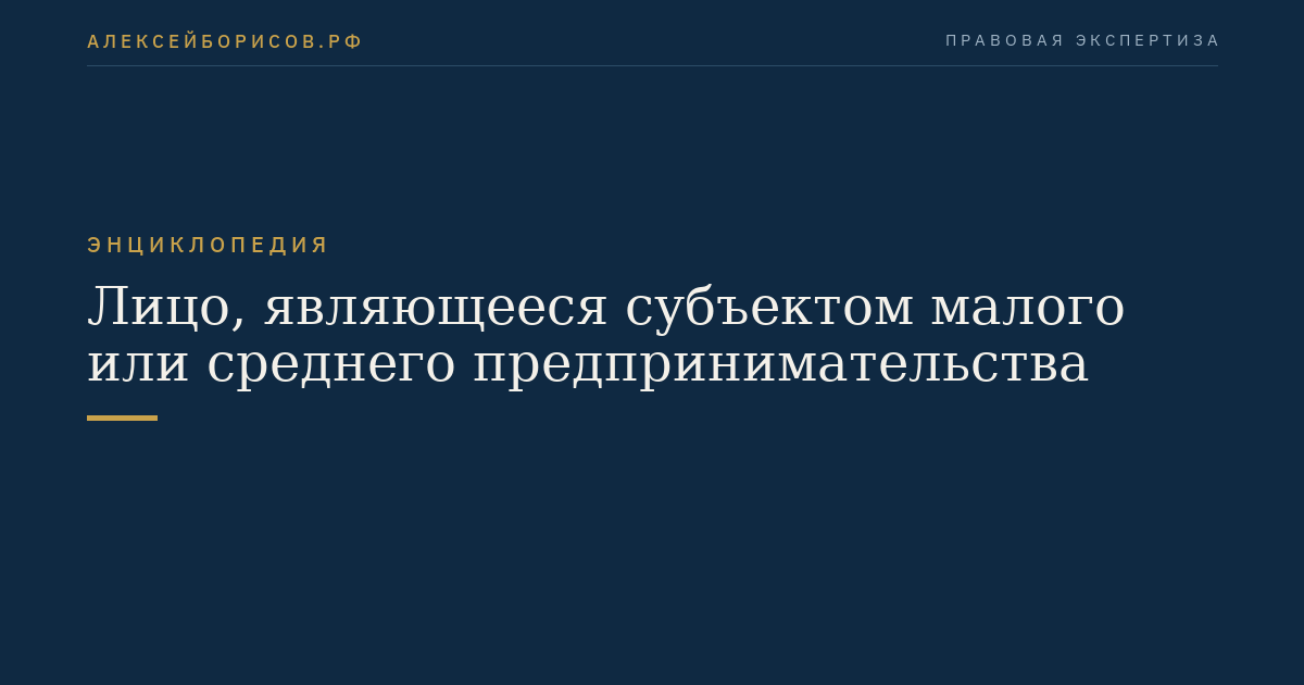 Лицо, являющееся субъектом малого или среднего предпринимательства