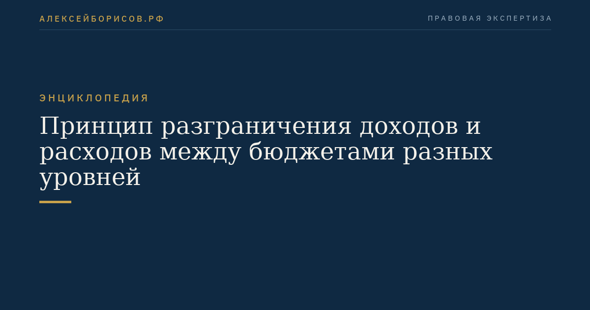 Принцип разграничения доходов и расходов между бюджетами разных уровней
