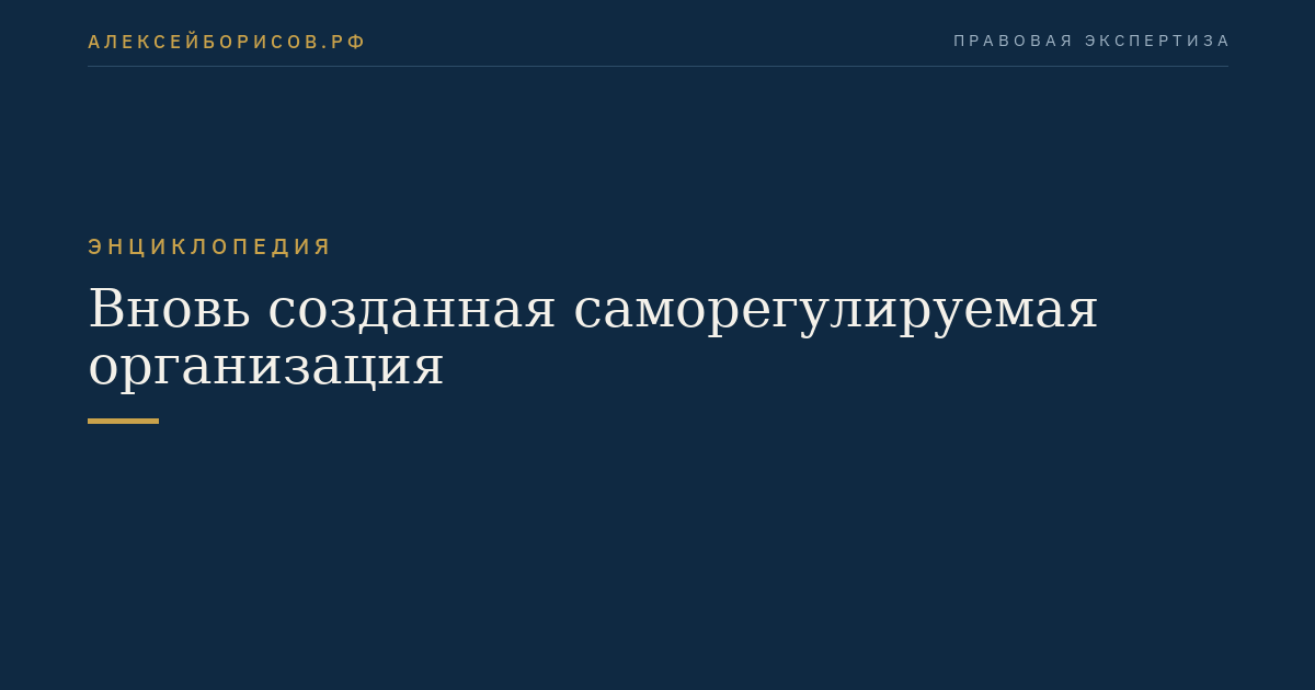 Вновь созданная саморегулируемая организация