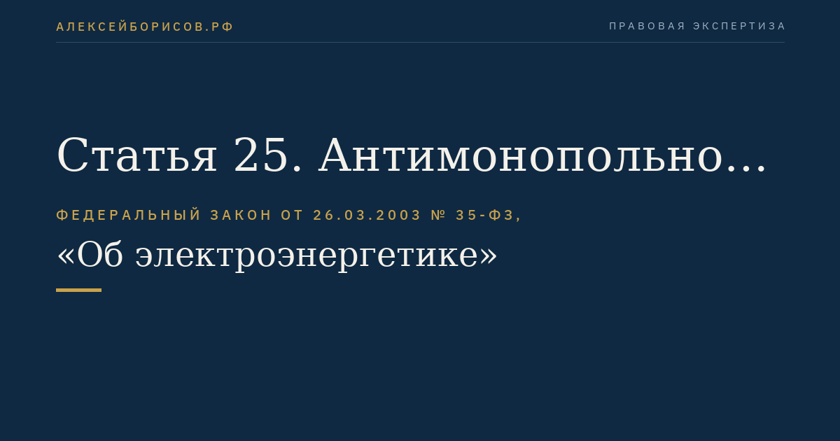 Статья 25. Антимонопольное регулирование и контроль на оптовом и розничных рынках