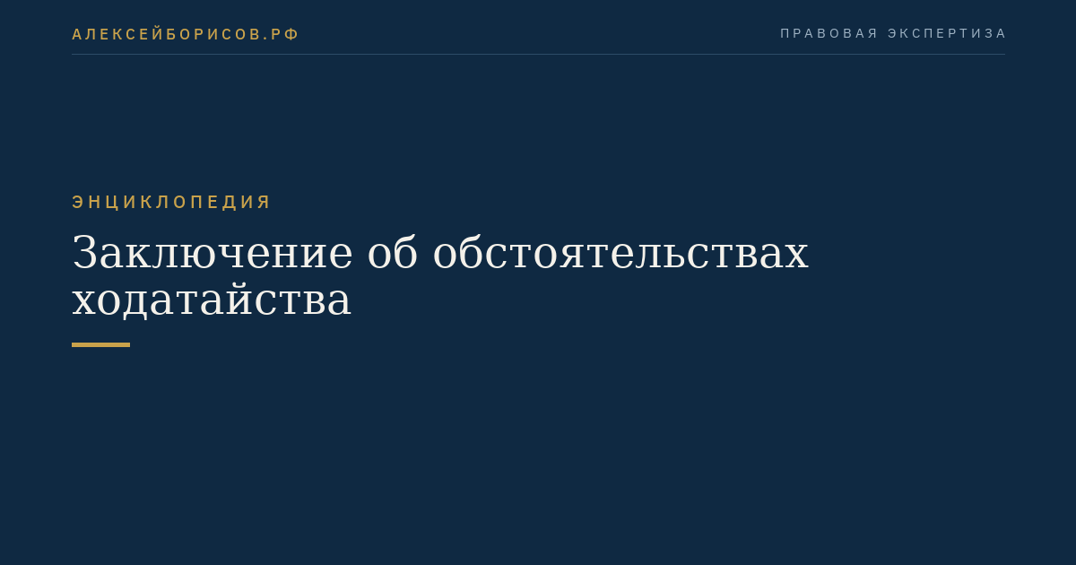 Заключение об обстоятельствах ходатайства