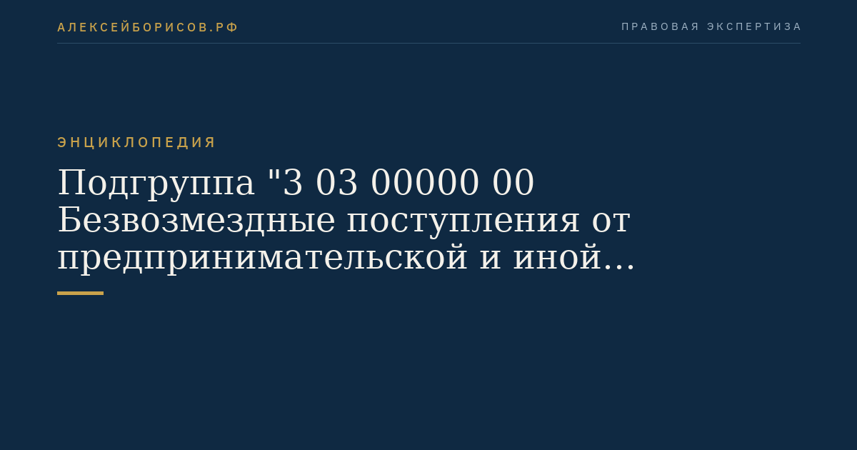 Подгруппа "3 03 00000 00 Безвозмездные поступления от предпринимательской и иной приносящей доход деятельности"