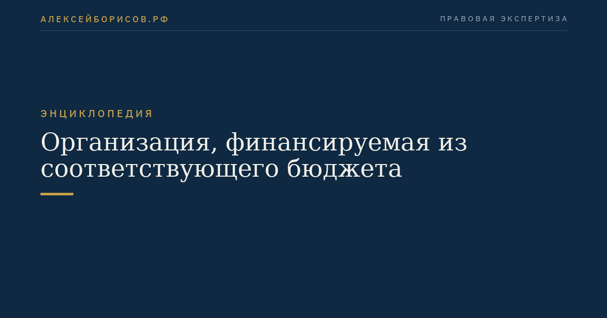 Организация, финансируемая из соответствующего бюджета