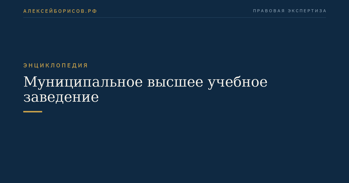 Муниципальное высшее учебное заведение
