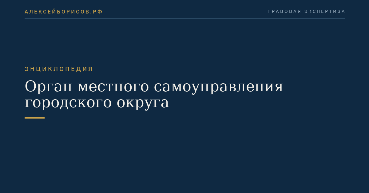 Орган местного самоуправления городского округа