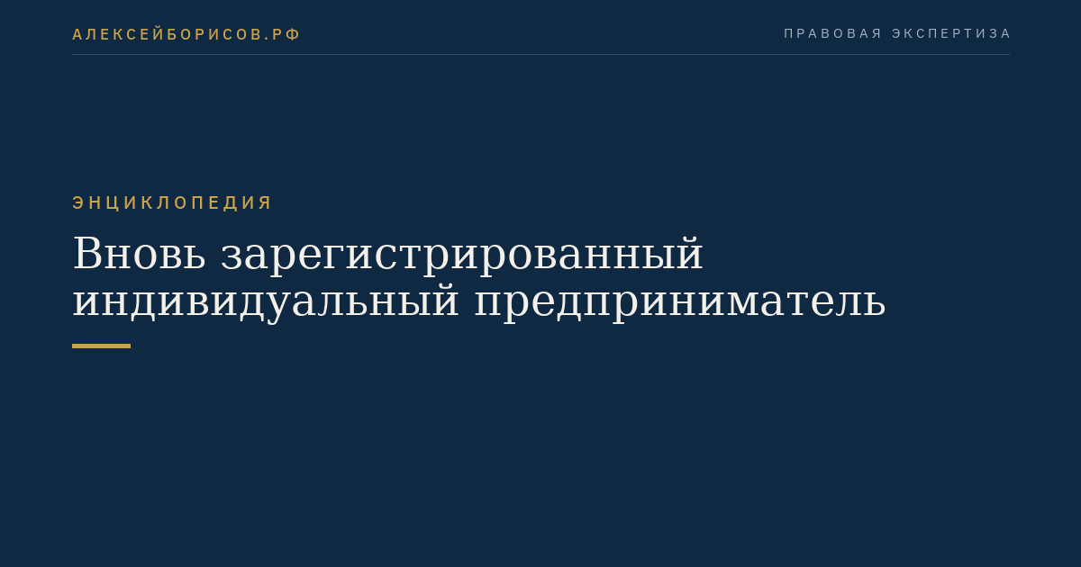 Вновь зарегистрированный индивидуальный предприниматель