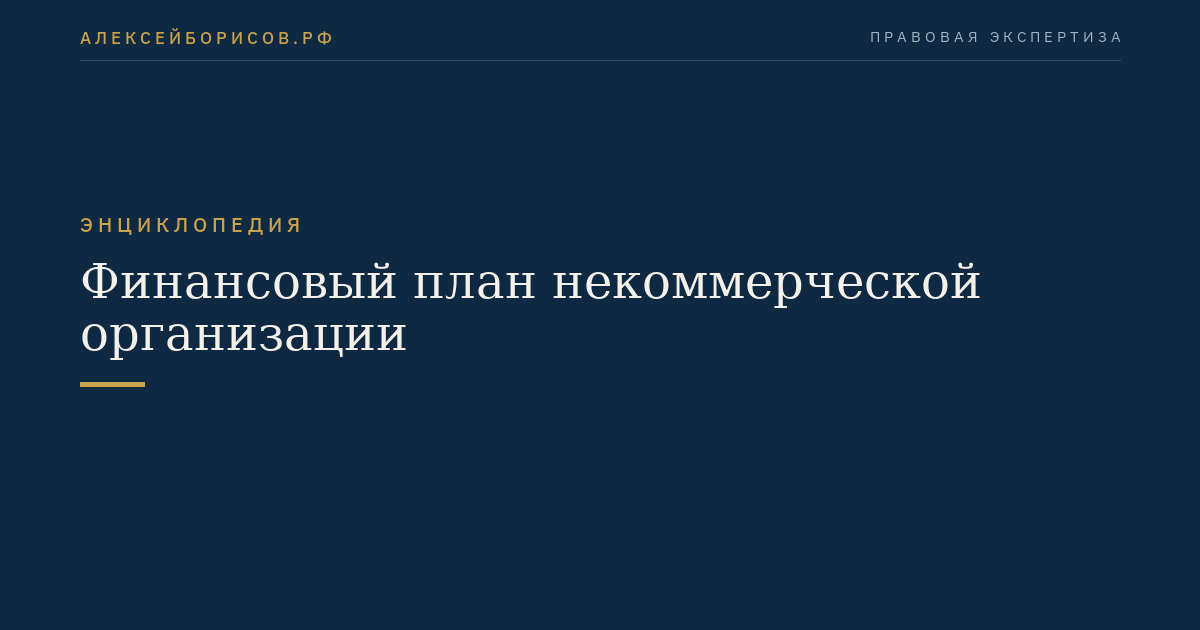 Финансовый план некоммерческой организации