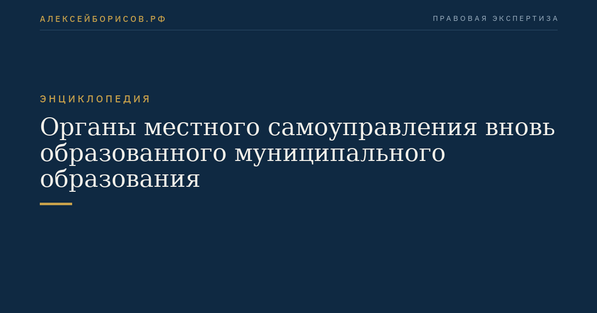 Органы местного самоуправления вновь образованного муниципального образования